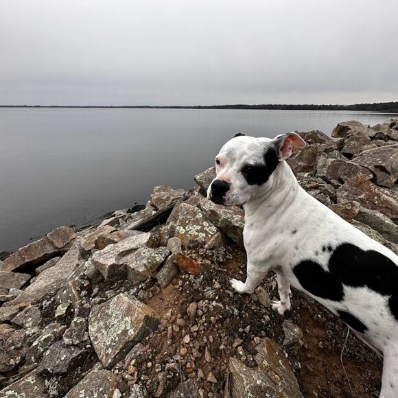 Meet your Posher, Adrianne! - Picture 8 of 16